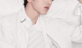 蔡徐坤圈内人爆料视频,揭秘明星幕后真相